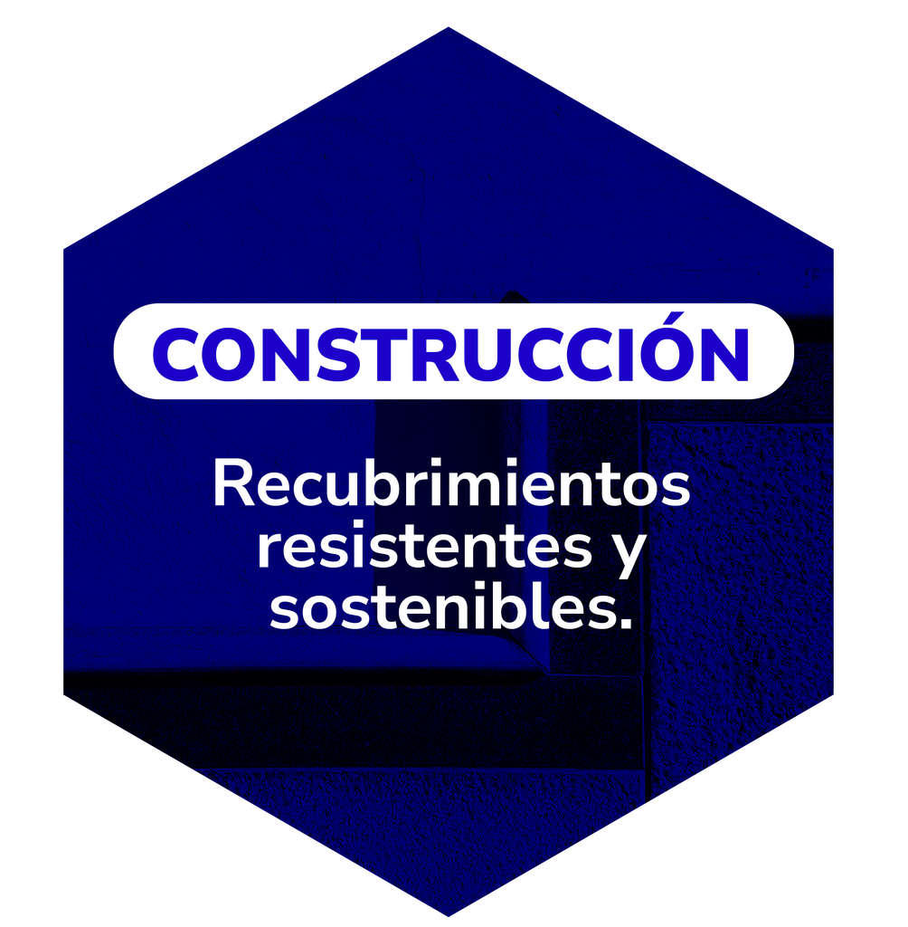 Imagen hover